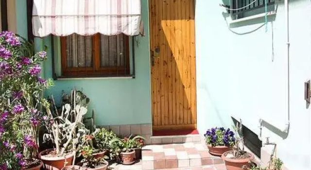 Номер Standard Hotel Dolores