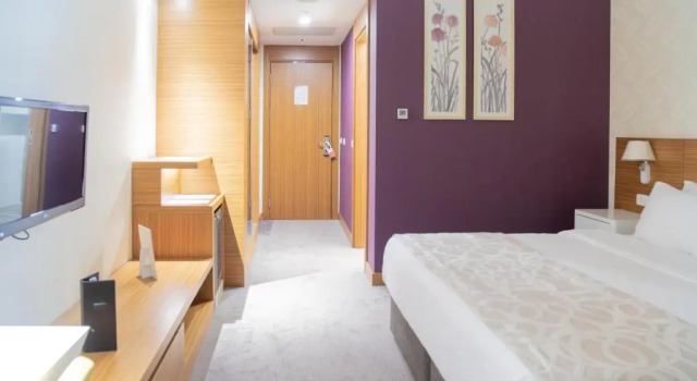 Одноместный номер Standard Ramada Plaza by Wyndham Istanbul Asia Airport
