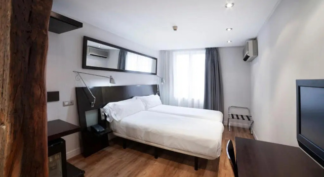 Двухместный номер с видом на город Petit Palace Arana Bilbao