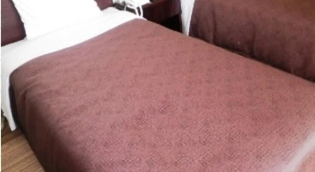 Двухместный номер Standard Hotel Select Inn Tsuyama