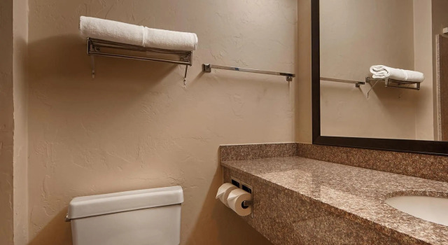 Номер Standard Wyndham Tucson Airport Hotel & Conference Center