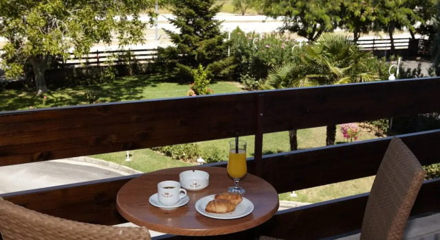 Одноместный номер Standard с балконом Rodopi Hotel