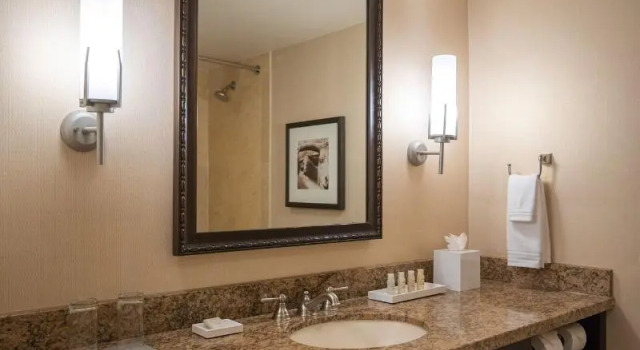 Четырёхместный номер Deluxe Renaissance Dallas Addison