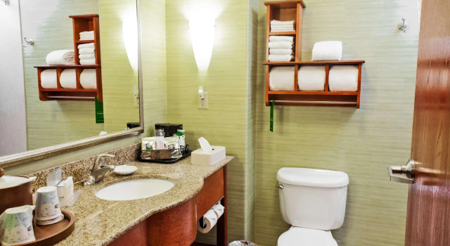 Номер Standard Hampton Inn & Suites Harlingen