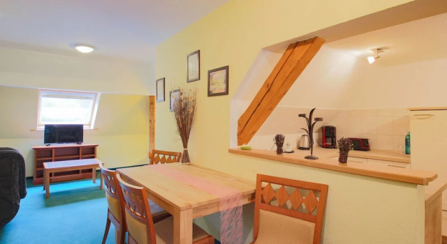 Familie apartament 1 dormitor cu vedere la parc Ferien Hotel Südharz