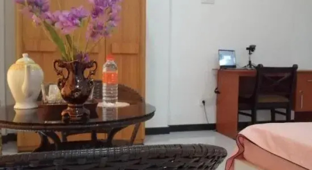 Номер Deluxe Colombo Airport Field View Villa