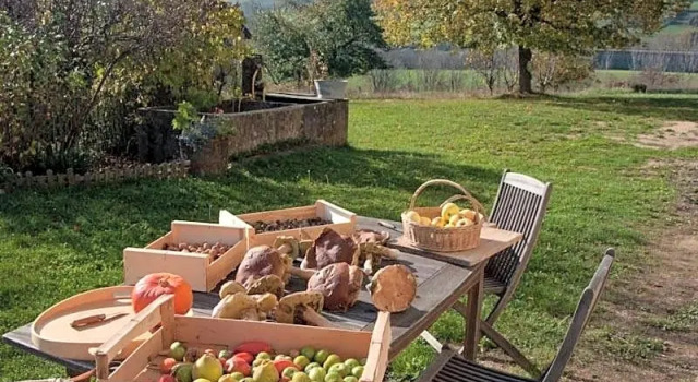 Gîte La Grange Du Haut