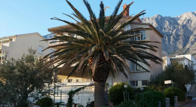 Студия Pegasus Apartments & Rooms