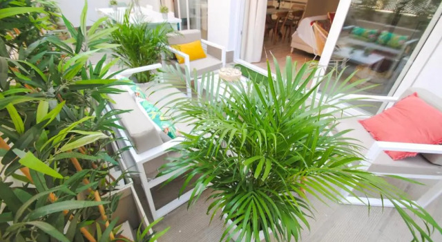 Апартаменты MÁLAGA Si eS CaSuaL, Malagueta Penthouse