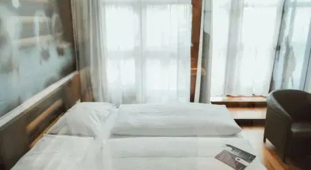 Люкс с видом на парк arte Hotel Linz