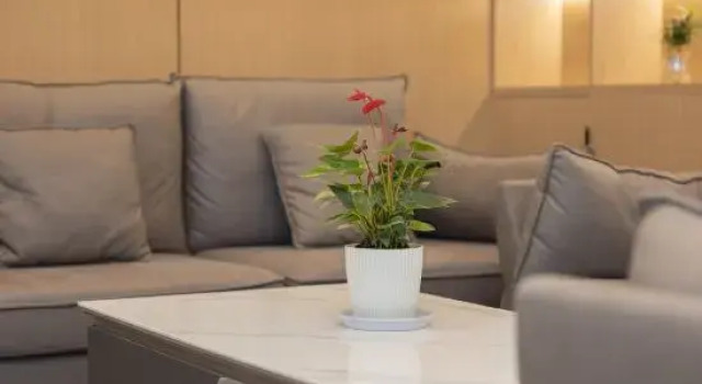 GELI Hotel (Jingjiang Qiche Keyunzhan), Prenota Hotel Jingjiang Jiangsu