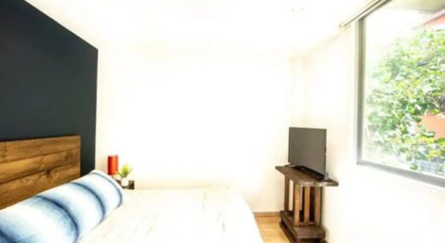Sophisticated Park Venue Apartment Near Polanco