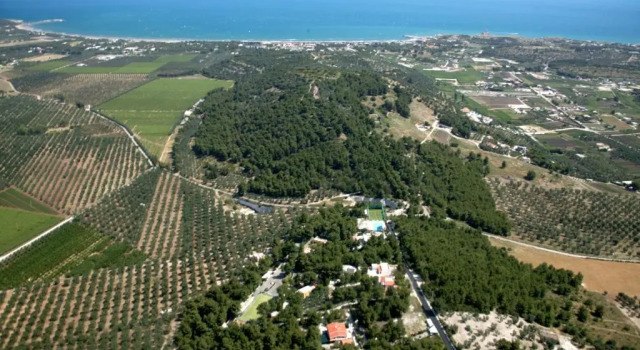 Студия Villaggio Elisena