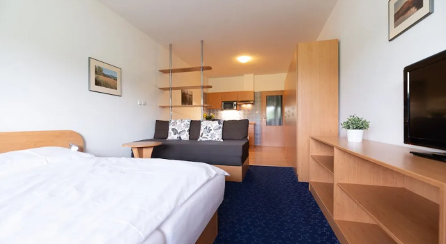 Трёхместный номер Standard с балконом Apartmány Engadin
