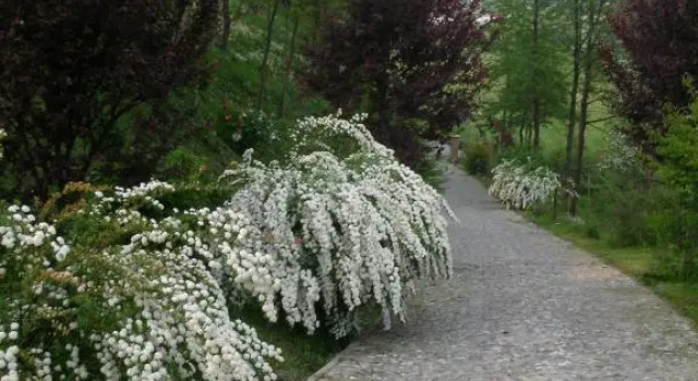 Cascina nel bosco, Boek Hotel Moncucco Torinese Piemonte