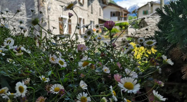 San Carlo, Book Hotel Chiavenna Lombardiet