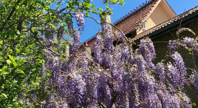 Domaine la jam, Réserver Hôtel Hôtels et hébergements à Marciac, Hôtel
