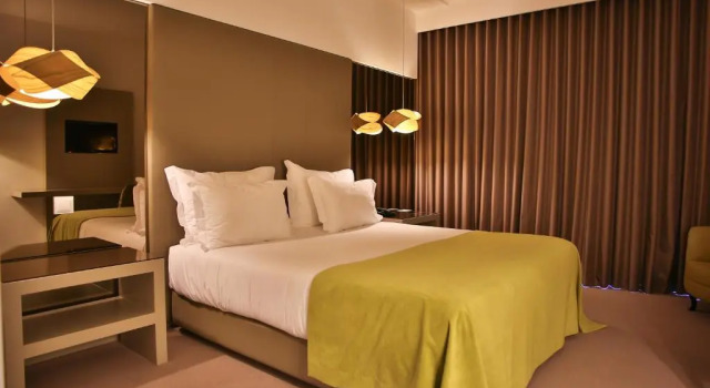Двухместный номер Standard Delfim Douro Hotel