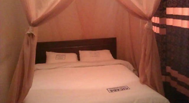 Номер Standard Cicada Hotel