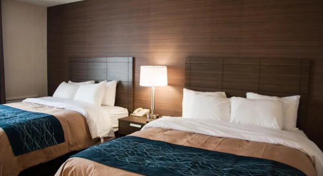 Четырёхместный номер Deluxe Comfort Inn