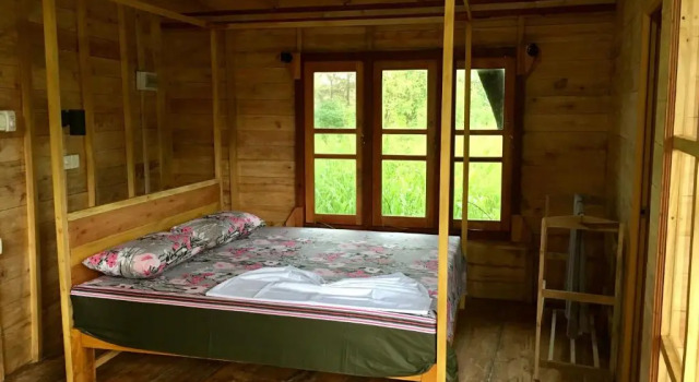 Номер Standard Seasons Four Jungle Treehouse