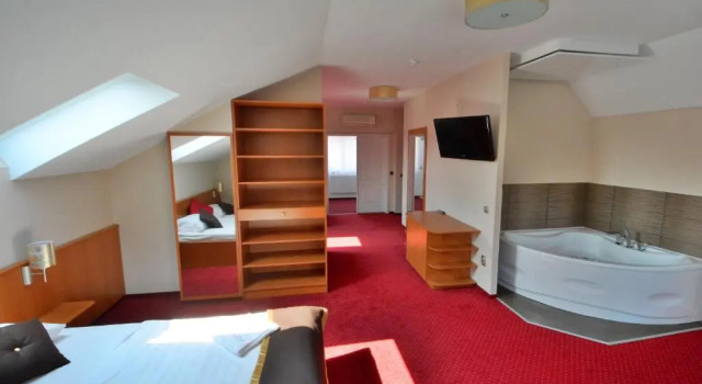 Люкс Hotel Platan
