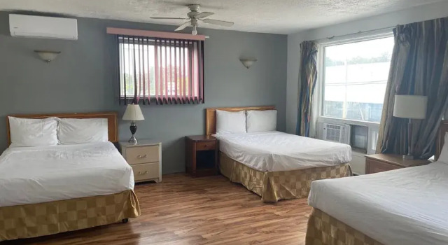 Номер Standard Motel Lustre Dor