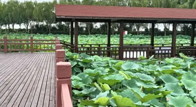 Linhuxiaoyuan Courtyard