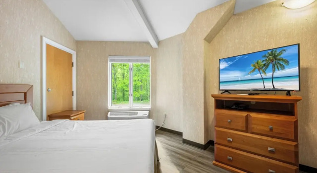 Четырёхместный номер Standard Cedar Park Whirlpool Suites