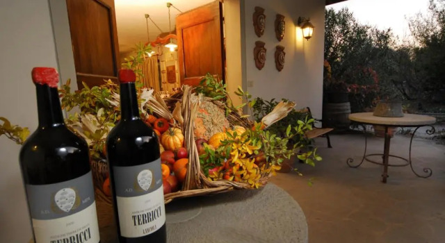 Полулюкс Agriturismo Borgo dei Ricci