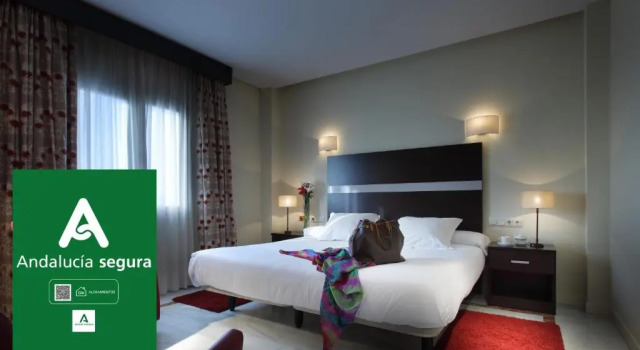 Двухместный номер Standard Hotel Abades Benacazon