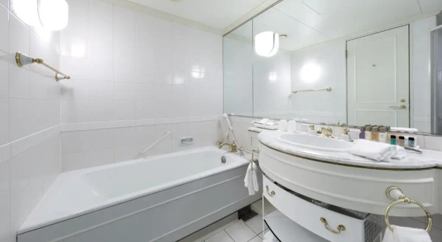 Двухместный номер Superior Dai-ichi Hotel Tokyo