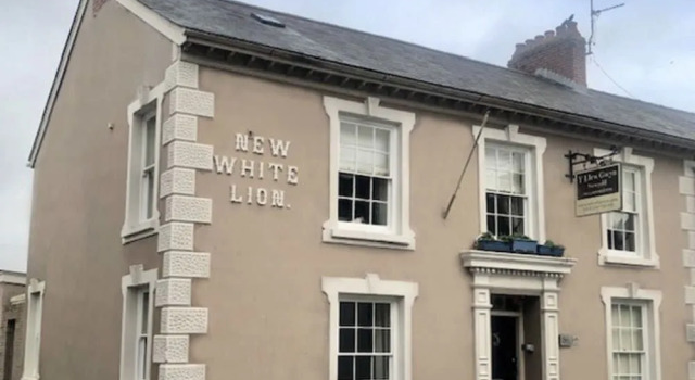 The New White Lion