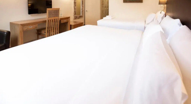 Двухместный номер Standard Hotel Eden Park by Brava Hoteles