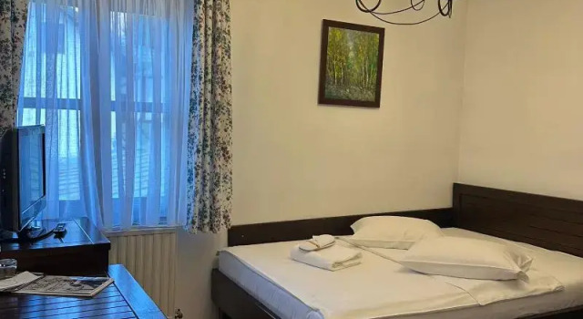Одноместный номер Pensiunea Rhein