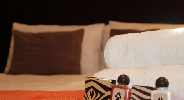 Двухместный номер Standard Big Five Guest House
