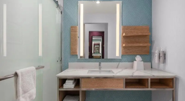 Номер Premium Hilton Garden Inn Wichita Airport