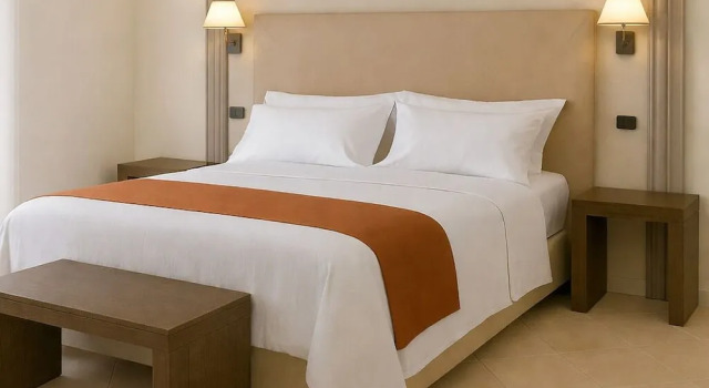 Komfort- værelse Delfino Beach Hotel