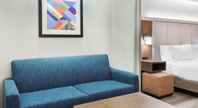Двухместный люкс Holiday Inn Express & Suites - Nearest Universal Orlando by IHG