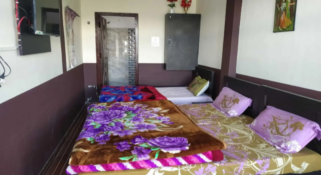 Номер Deluxe Himalaya Darshan Resort
