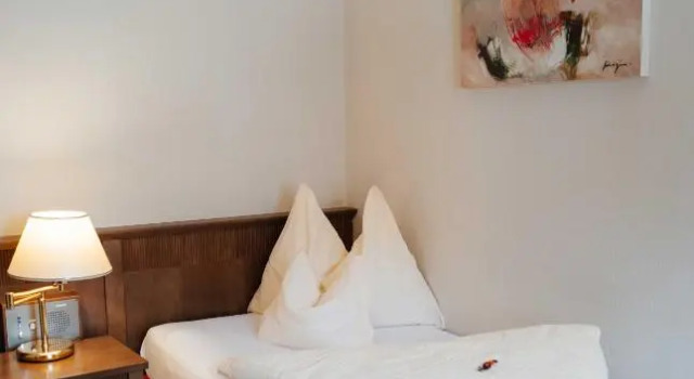 Номер Standard Landhotel Lindenhof