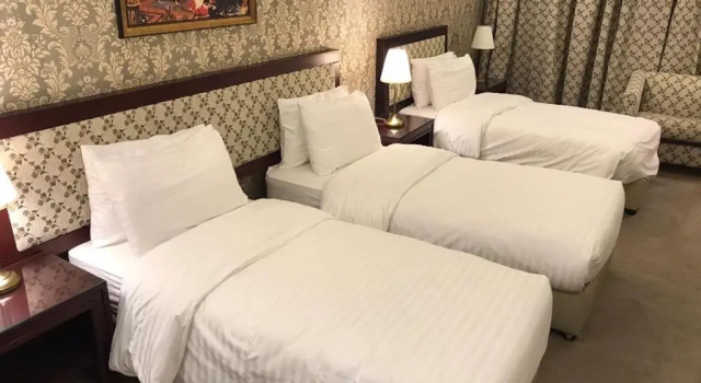 Номер Deluxe Strand Hotel Jordan