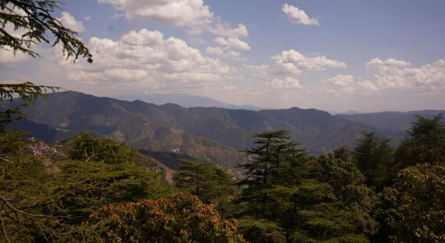 Jakhu Vibes | Valley-View Rooms