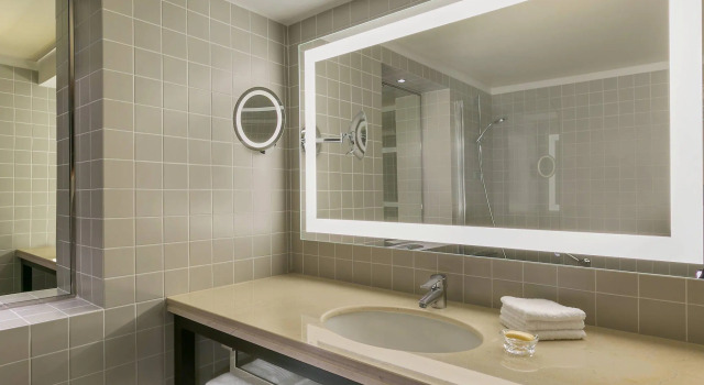 Двухместный номер Premium с видом на город Sheraton Bucharest Hotel