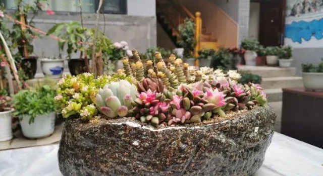 Slow Life· yuesheng garden Jing di mei su, Prenota Hotel Hotel a Dali con parcheggio, Parcheggio