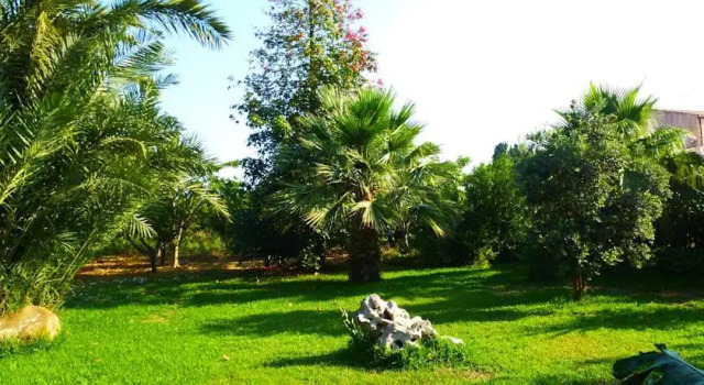 Rosa, Забронировать Апартаменты/квартира Кампофеличе-ди-Рочелла Madonie Regional Natural Park