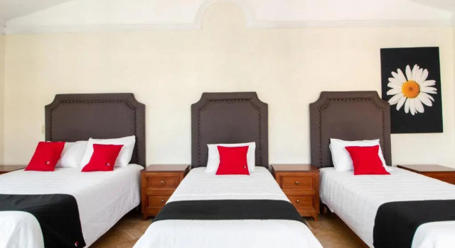 Четырёхместный номер Standard Capital O Hotel San Jose, San Luis Potosi