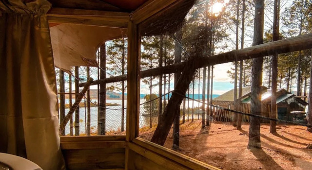 Номер Premium Tedesco Eco Park