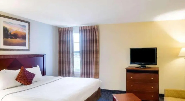 Одноместный номер Standard Mainstay Suites Dover