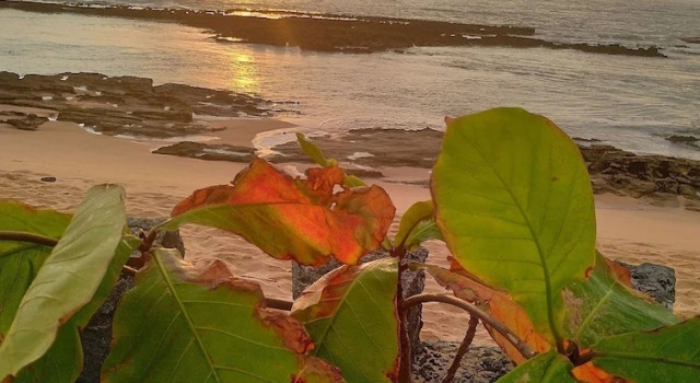 Номер Standard Pousada Tropicália Tranquilidade a Beira Mar